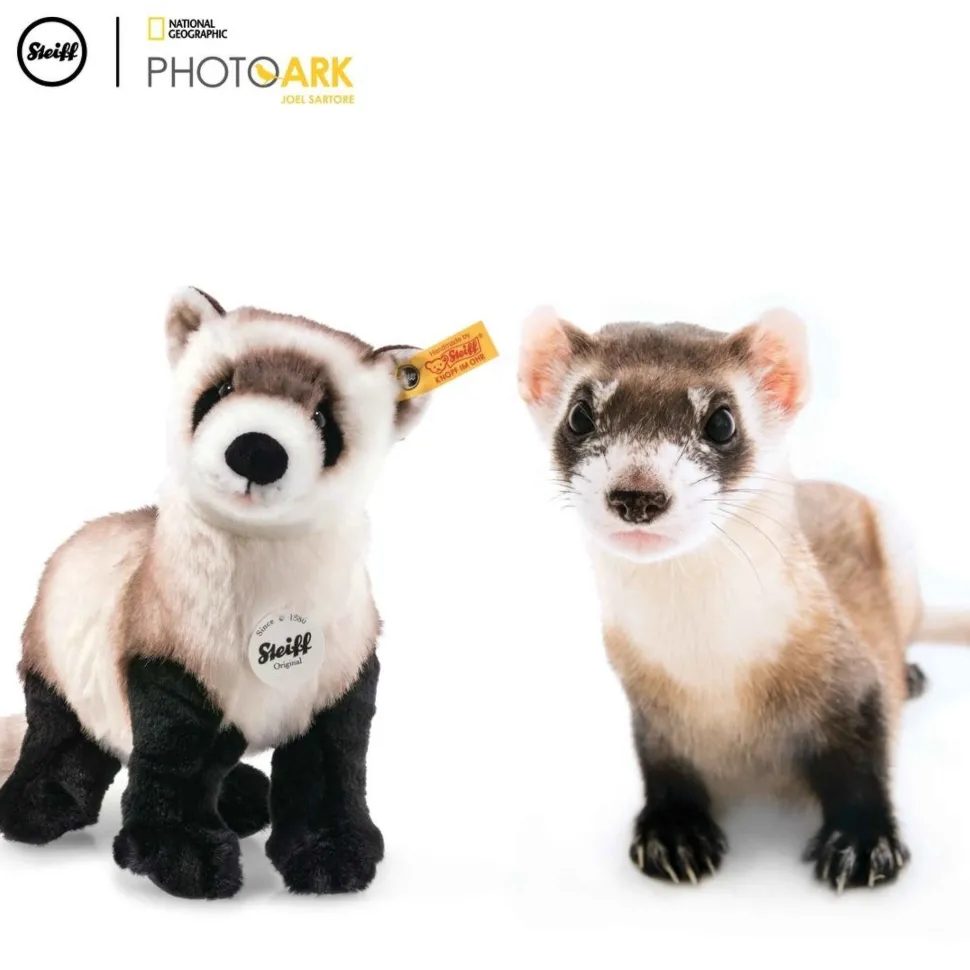 Steiff Knuffel Fret Ferri National Geographic