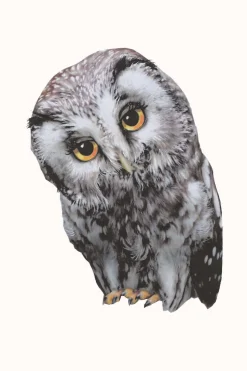 Sticky Tales Muursticker Oehoe de Uil