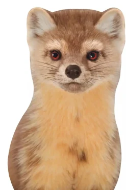 Sticky Tales Muursticker Marter