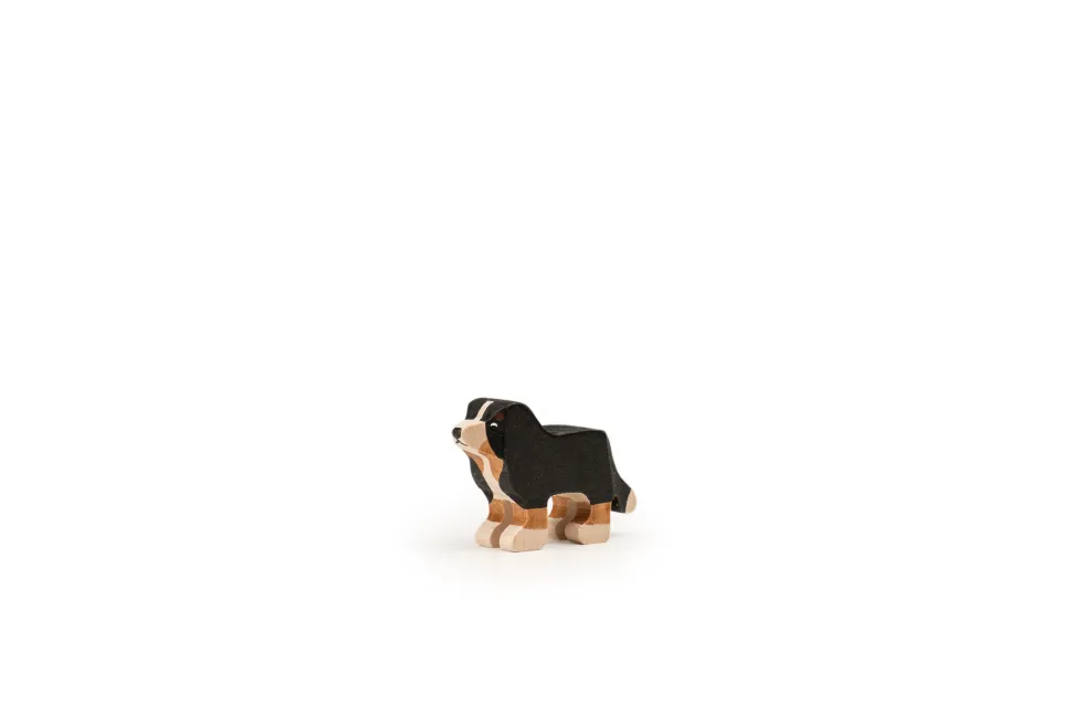 Trauffer Berner Sennenhond Klein