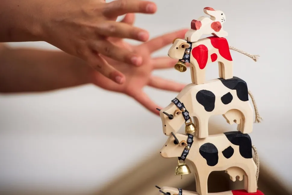 Trauffer Koe 3 Staand Bruinvee