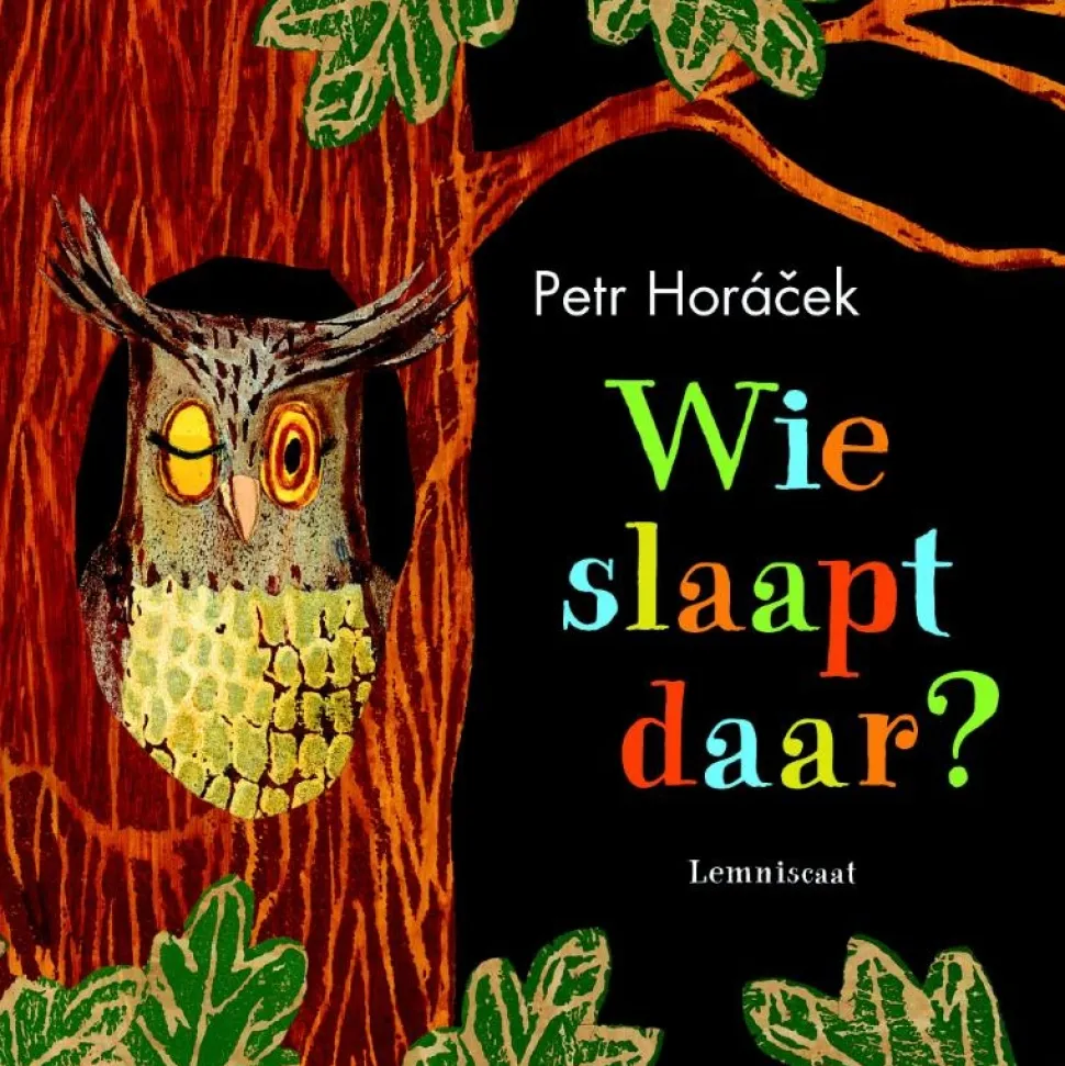 Wie slaapt daar?