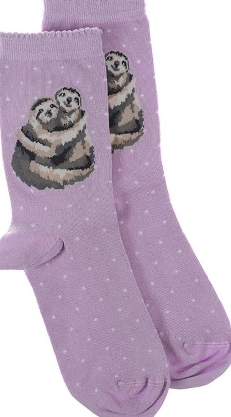 Wrendale Designs Sok Luiaard Little Card Big Hug