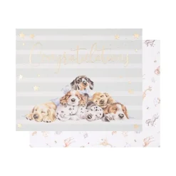 Wrendale Designs Wenskaart Little Paws - Congratulations