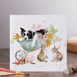 Wrendale Designs Wenskaart Sleeping on the Job