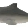 Wudimals Dolfijn 40804