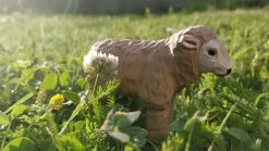 Wudimals Schaap 40605