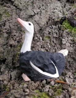 Wudimals Struisvogel 41000