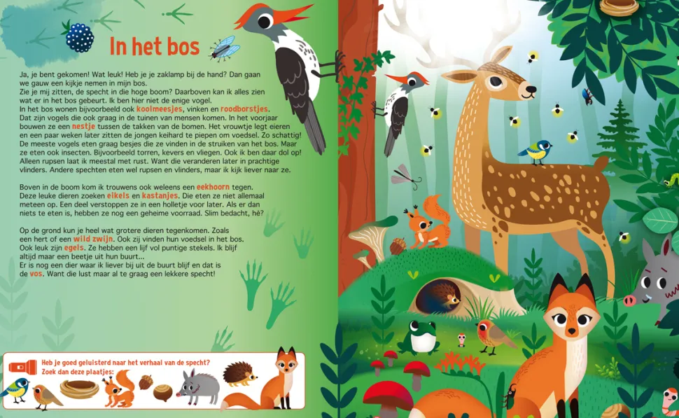 Zaklampboek Speuren in de dierenwereld